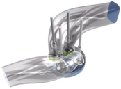 Asymmetric Ports