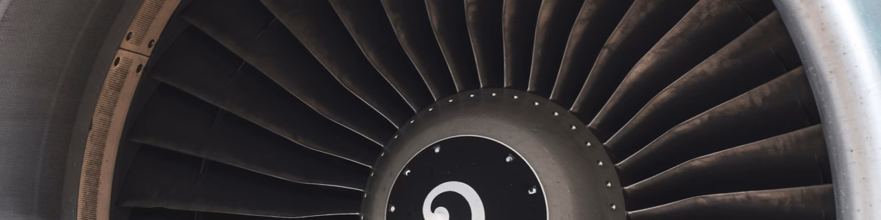 Aero Engine Fan