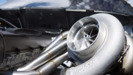 Volute Photo