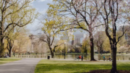 Boston