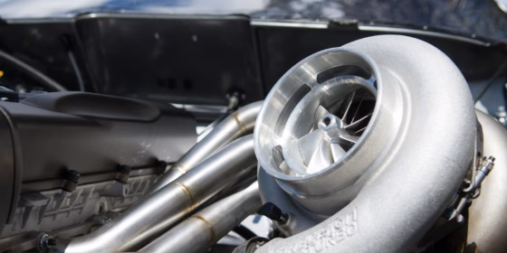 Volute Photo