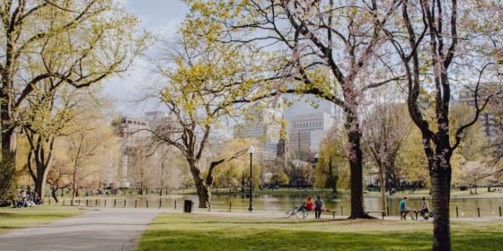 Boston