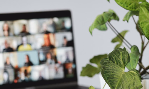 Webinar