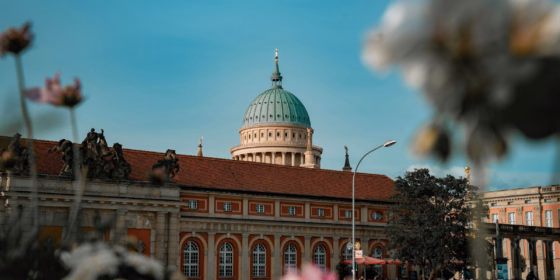Leon seibert h Drh Lyj IR Zg unsplash