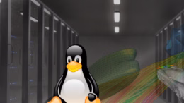 linux_support_fi_pinguin