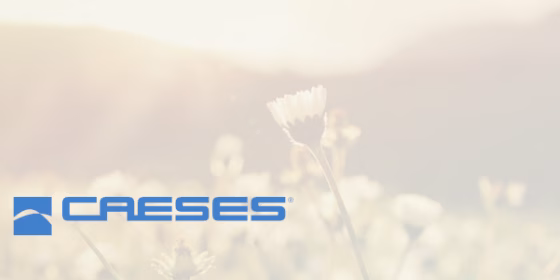 CAESES spring release