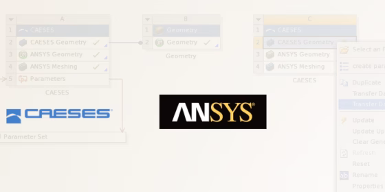 CAESES ANSYS ACT APP