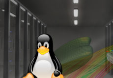 Why You Should Consider CAE Tools with Linux Support