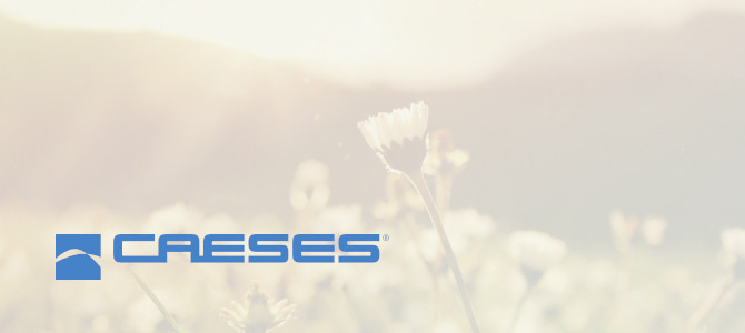 Released CAESES 4.4.2