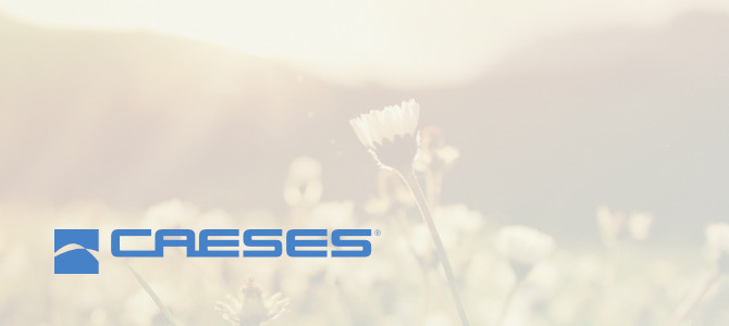 Released CAESES 4.4.2