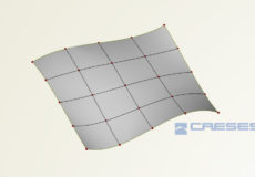 Gordon Surface for Curve Networks